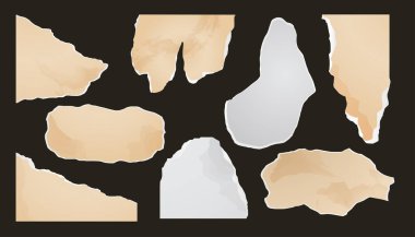 Yırtık kağıt seti, defter kağıtları kolajı, eski gazete. Boş kağıt kırıntıları. Kağıt vektöründen kesilen vektör ögeleri