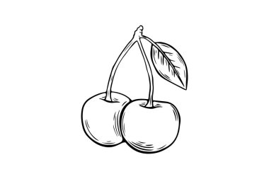 Bir çift kiraz çileği çizimi, gravür. siyah beyaz çizgi sanatı. Meyve vektörü beyaz arkaplanda izole edildi 