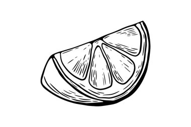 Limon, dilim, gravür ve siyah beyaz çizgi. Meyve vektörü beyaz arkaplanda izole edildi 