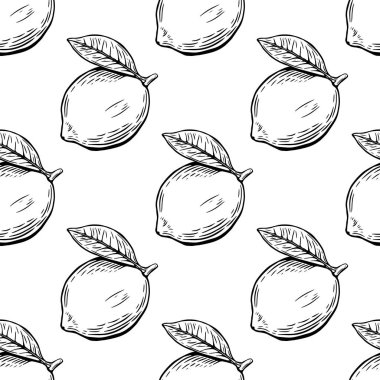 Kusursuz limon çizimi, dilimleme, oyma ve siyah beyaz çizgi.
