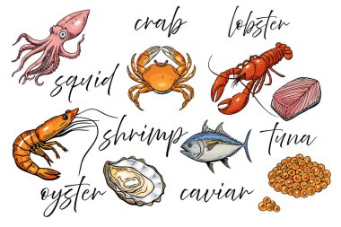 Deniz ürünleri, menü hazır. Taslak, çizgi vektör çizimi, elle çizilmiş yiyecek.