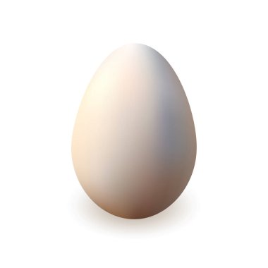 Tavuk yumurtası, gerçekçi 3D. Beyaz arkaplanda vektör illüstrasyonu