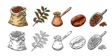 Kabartma, kahve taslağı, renkli ve çizgili vektör illüstrasyonu. Kahve poşeti, fasulye, dal, Türk kahvesi