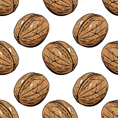 Elle çizilmiş vektör karikatür biçiminde kusursuz ceviz deseni