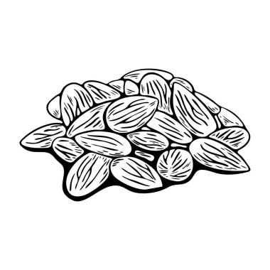 Yığındaki bademlerin ana taslak çizimi. Gıda tasarımı, ambalaj ve boyama kitaplarında ve şablonlarında kullanılmak için ideal.