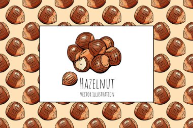 Elle çizilmiş fındık taşıyıcısı, pürüzsüz desenli ve merkezi vurgulu. Paketleme, markalaşma ve gıda etiketleri için ideal.