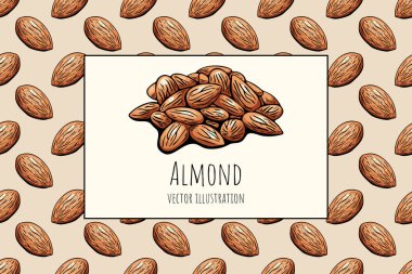 Detaylı badem vektör çizimi arka planda tekrarlanan fındık deseni sağlıklı abur cubur markaları ve yiyecek etiketleri için kullanışlı.