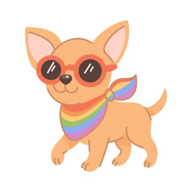 Gökkuşağı eşarbı ve parlak güneş gözlüğü takan sevimli chihuahua köpeği, LGBTQ gururunu, eşitliği ve çeşitliliği mutlu bir ifadeyle kutluyor..