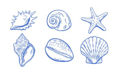 Akdeniz tarzında çizilmiş çeşitli deniz kabuklarının altı adet mavi mürekkep taslağı, yaz temalı grafik kullanımı için ideal..