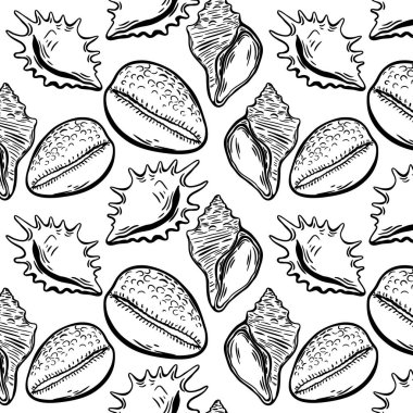Klasik mürekkep çizimi tarzında kabuklu deniz kabuklarının ayrıntılı şekilleri. Yaz ambalajı ve deniz temalı arka planlar için ideal..