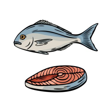 Akdeniz balığının vektör görüntüsü ve elle çizilmiş dilimlenmiş biftek. Deniz ürünleri ambalajı ve sağlıklı gıda markaları için harika..