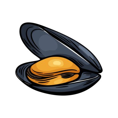 Akdeniz tarzında elle çizilmiş midye çizimi. Deniz ürünleri restoran menüleri, ambalaj ve markalaşma için ideal..