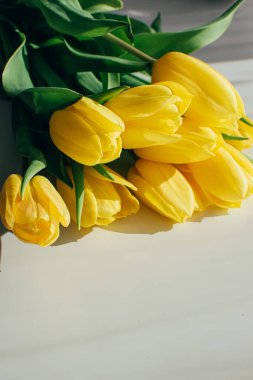 Beyaz bir zemin üzerinde sarı lale çiçekleri ve fotokopi alanı..
