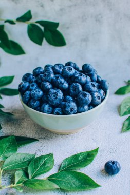 Ripe blueberry in a bowl with green leaves over gray table background with copy space.