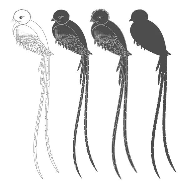 Set Van Zwart Wit Illustraties Met Een Quetzal Vogel Geïsoleerde — Stockvector