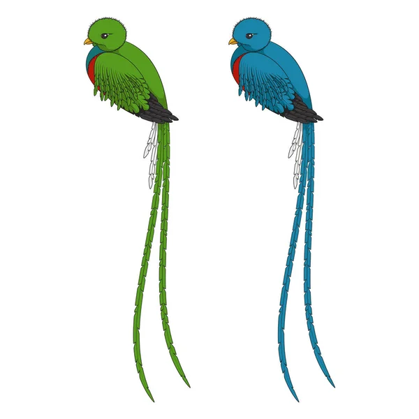 Kolorowa Ilustracja Quetzal Ptaka Odizolowane Obiekty Wektorowe Białym Tle — Wektor stockowy