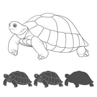 Set of black and white illustrations with turtle. Isolated vector objects on white background. clipart