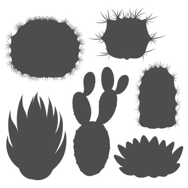 Kaktüs ve sulu siyah beyaz çizimler. Beyaz arkaplandaki izole vektör nesneleri.