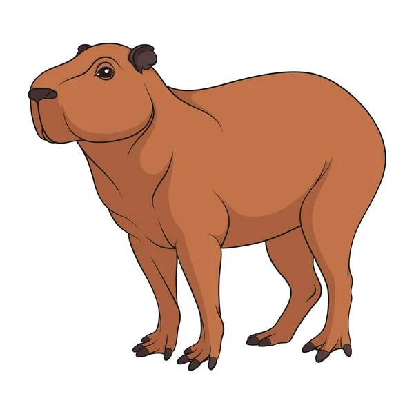 Color Illustration Capybara Isolated Vector Object White Background — Stock vektor