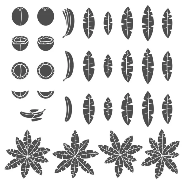 Ensemble Illustrations Noir Blanc Avec Palmier Tropical Feuilles Noix Coco — Image vectorielle