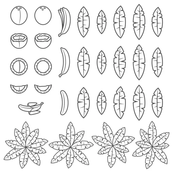 Set Black White Illustration Tropical Palm Leaves Coconut Banana Isolated — Stock Vector