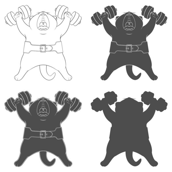 Set of black and white illustrations with cute cat with dumbbells and athletic belt. Isolated vector objects on white background.