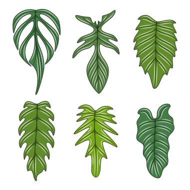 Canavarımsı sürüngen bitki yapraklarıyla renklendirme seti. Beyaz arkaplandaki izole vektör nesneleri.