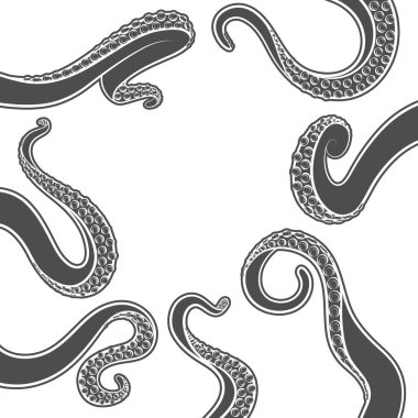 Ahtapot dokunaçlı siyah beyaz çizimler. Beyaz arkaplandaki izole vektör nesneleri.