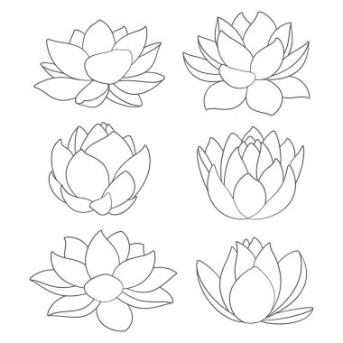 Nilüfer çiçeği ve nilüferli siyah beyaz çizimler. Beyaz arkaplandaki izole vektör nesneleri.