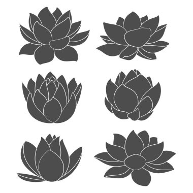 Nilüfer çiçeği ve nilüferli siyah beyaz çizimler. Beyaz arkaplandaki izole vektör nesneleri.