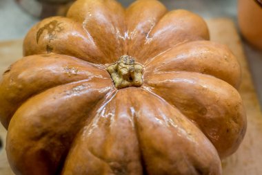 Pürüzsüz, parlak yüzeyi ve ışık yüzeyine yerleştirilmiş belirli sırtları olan bir balkabağı. Yumuşak, sessiz tonlarla arkaplan bulanıklaşır, karşıtlık yaratır ve önplan nesnesine odaklanır.