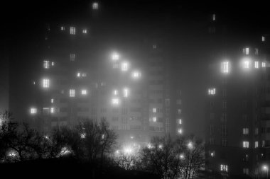 Gece manzarasının siyah-beyaz görüntüsü yüksek binaların parlayan camlarını gösteriyor. Ağaçlar sisli ambiyansa karışır. Işık ve gölgeler derinlik yaratır, kentsel cazibe ve sükuneti vurgular..