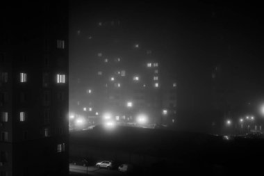 Gece manzarasının siyah-beyaz görüntüsü yüksek binaların parlayan camlarını gösteriyor. Ağaçlar sisli ambiyansa karışır. Işık ve gölgeler derinlik yaratır, kentsel cazibe ve sükuneti vurgular..