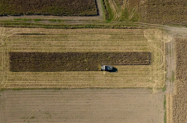 Campo Agrícola Agricultores Trabalham Com Trator Terras Agrícolas — Fotografia de Stock