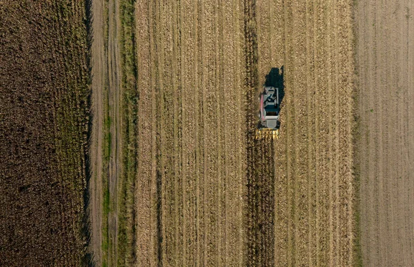 Фермерское Поле Фермеры Работают Трактором Сельскохозяйственных Угодьях — стоковое фото