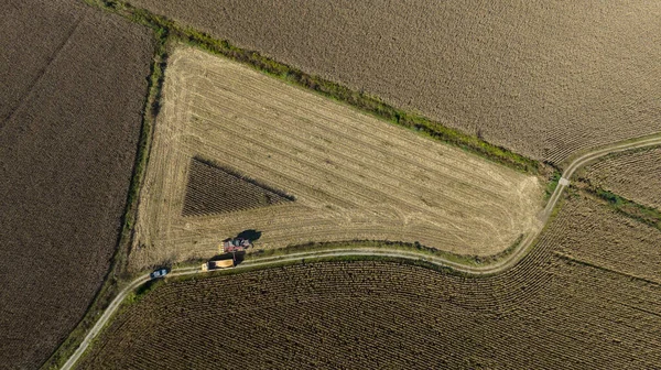 Campo Agrícola Los Agricultores Trabajan Con Tractor Tierras Cultivo —  Fotos de Stock