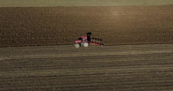 Campo Agrícola Los Agricultores Trabajan Con Tractor Tierras Cultivo — Vídeo de stock