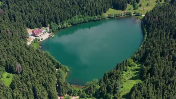 Savsat Karagol Lake Large Trout Lake Forest Artvin — Stock Video