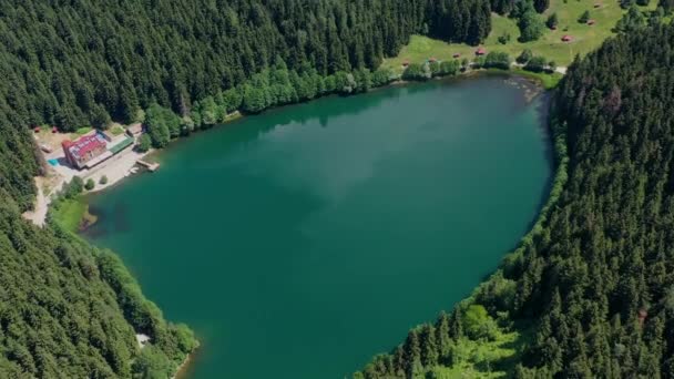 Savsat Karagol Lake Large Trout Lake Forest Artvin — стоковое видео