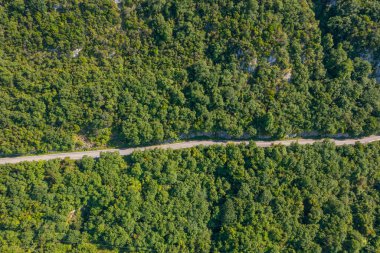 Karadeniz ormanlarında bir yol, Cide, Kastamonu