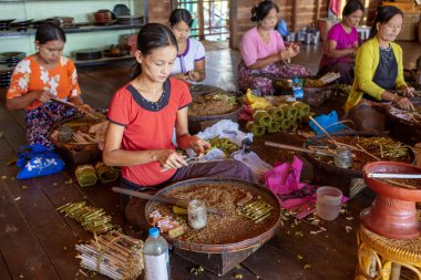 INLE GÖLÜ, MYANMAR - 19 ARALIK 2016: Myanmar 'daki Nam Pam köyündeki bir el sanatları atölyesinde geleneksel Cheroot purolarını yuvarlayan kadınlar