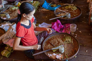 INLE GÖLÜ, MYANMAR - 19 ARALIK 2016: Myanmar 'daki Nam Pam köyündeki bir el sanatları atölyesinde geleneksel Cheroot purolarını yuvarlayan kadınlar