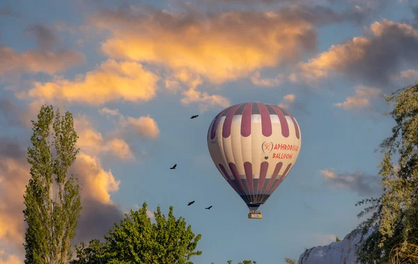 Balony Ogrzane Powietrze Naturalne Baseny Trawertynowe Wschodzie Słońca Pamukkale Denizli — Zdjęcie stockowe
