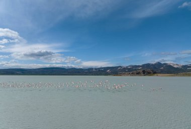 Yarisli Gölü ve Burdur, Türkiye 'de bir adacık
