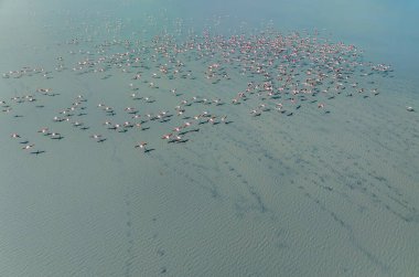 Yarisli Gölü ve Burdur, Türkiye 'de bir adacık