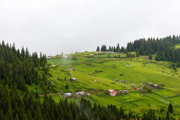 Giresun県 Kulakkaya高地の緑豊かな自然と家や動物 — ストック写真