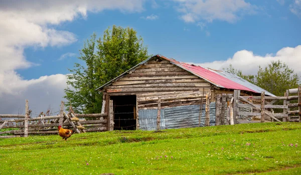 stock image Giresun Province, Kulakkaya highland lush nature and houses and animals in the highland