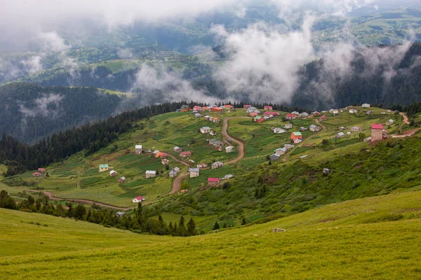 stock image Giresun Province, Kulakkaya highland lush nature and houses and animals in the highland