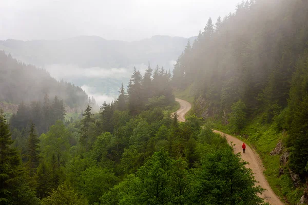 Giresun Eyaleti, Kulakkaya Dağlık Toprakları Dağlık Topraklardaki doğa, evler ve hayvanlar