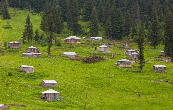 位于Glyan高原的Giresun省 有一个湖 带着木制房屋 提供了一个真实的景观 — 图库照片